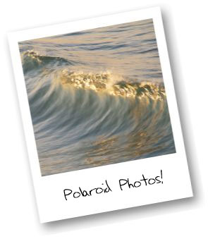 polaroid-brush-set-example-1