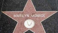933567_com_hollywoodw