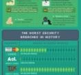 PasswordGenie_Infographic3_Beginner
